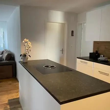 Apartment Luxury Room - Wef Davos Platz *